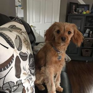 Meet your Posher, Cathy